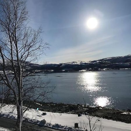 Trivelig Fritidshus Pa Arnes, Senja Straumstad Exterior foto